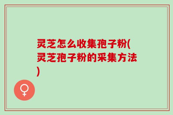 灵芝怎么收集孢子粉(灵芝孢子粉的采集方法)