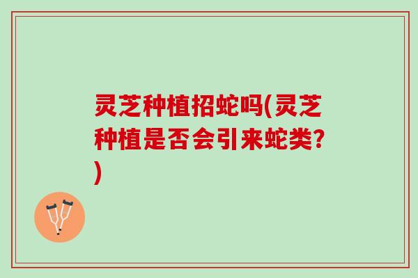 灵芝种植招蛇吗(灵芝种植是否会引来蛇类？)