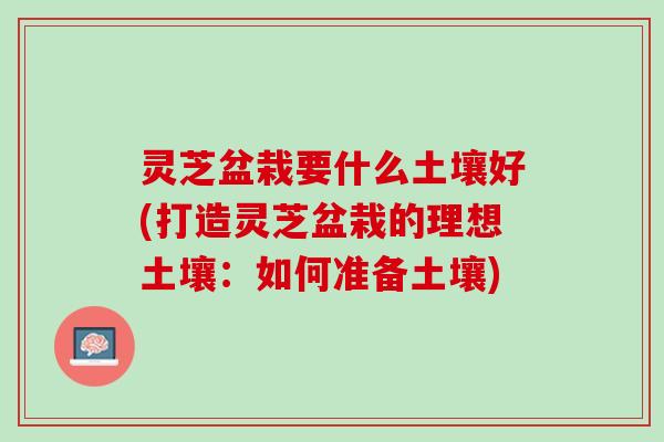 灵芝盆栽要什么土壤好(打造灵芝盆栽的理想土壤：如何准备土壤)