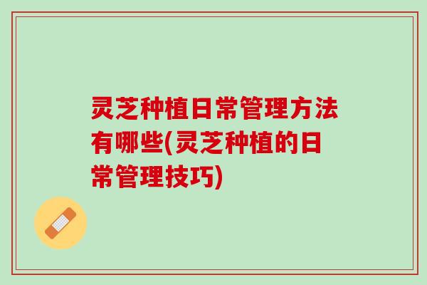 灵芝种植日常管理方法有哪些(灵芝种植的日常管理技巧)