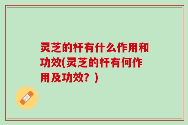 灵芝的杆有什么作用和功效(灵芝的杆有何作用及功效？)