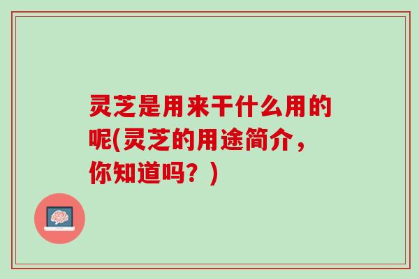 灵芝是用来干什么用的呢(灵芝的用途简介，你知道吗？)