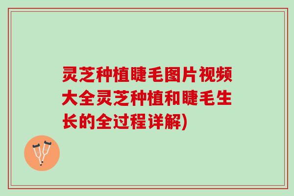 灵芝种植睫毛图片视频大全灵芝种植和睫毛生长的全过程详解) 灵芝种植睫毛图片视频大全灵芝种植和睫毛生长的全过程详解)
