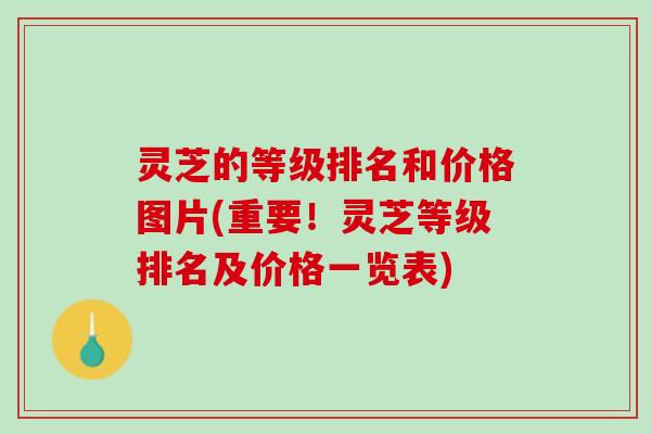 灵芝的等级排名和价格图片(重要！灵芝等级排名及价格一览表)