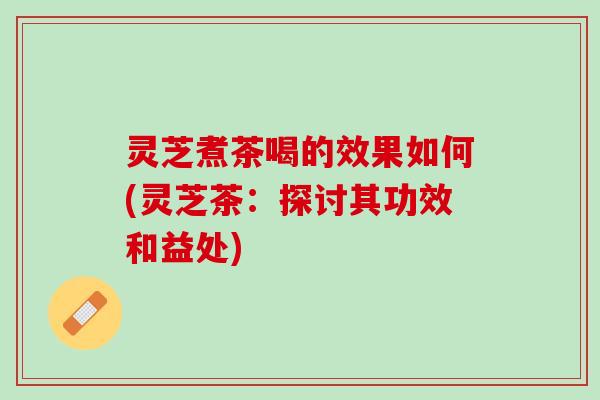 灵芝煮茶喝的效果如何(灵芝茶：探讨其功效和益处)