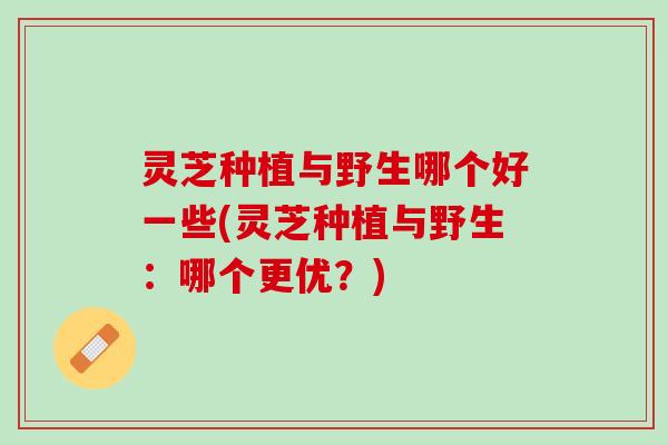 灵芝种植与野生哪个好一些(灵芝种植与野生：哪个更优？)