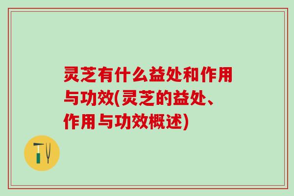 灵芝有什么益处和作用与功效(灵芝的益处、作用与功效概述)