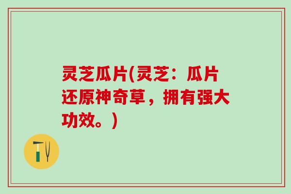 灵芝瓜片(灵芝：瓜片还原神奇草，拥有强大功效。)
