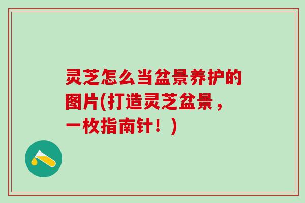 灵芝怎么当盆景养护的图片(打造灵芝盆景，一枚指南针！)