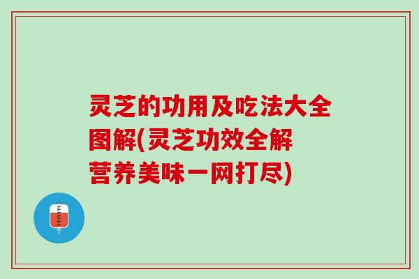 灵芝的功用及吃法大全图解(灵芝功效全解 营养美味一网打尽)