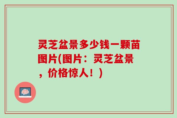 灵芝盆景多少钱一颗苗图片(图片：灵芝盆景，价格惊人！)