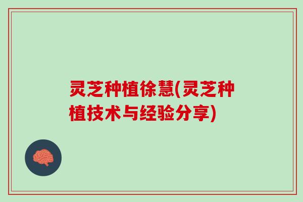 灵芝种植徐慧(灵芝种植技术与经验分享)