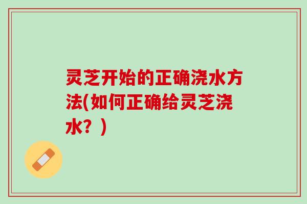 灵芝开始的正确浇水方法(如何正确给灵芝浇水？)