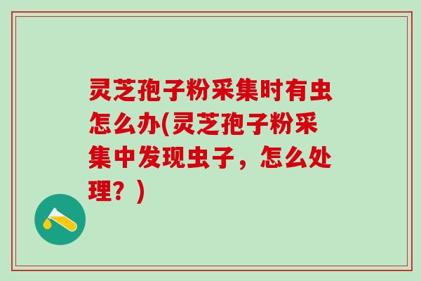 灵芝孢子粉采集时有虫怎么办(灵芝孢子粉采集中发现虫子，怎么处理？)