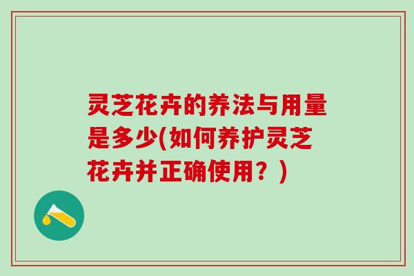 灵芝花卉的养法与用量是多少(如何养护灵芝花卉并正确使用？)