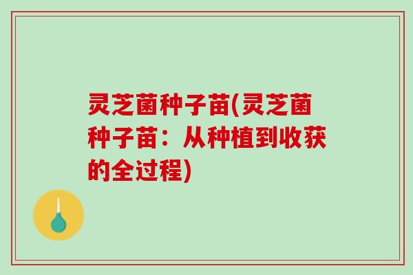 灵芝菌种子苗(灵芝菌种子苗：从种植到收获的全过程)
