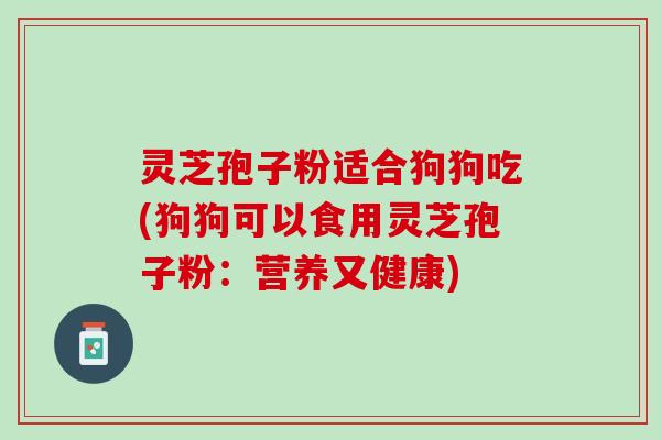 灵芝孢子粉适合狗狗吃(狗狗可以食用灵芝孢子粉:营养又健康) 灵芝孢子粉适合狗狗吃(狗狗可以食用灵芝孢子粉:营养又健康)