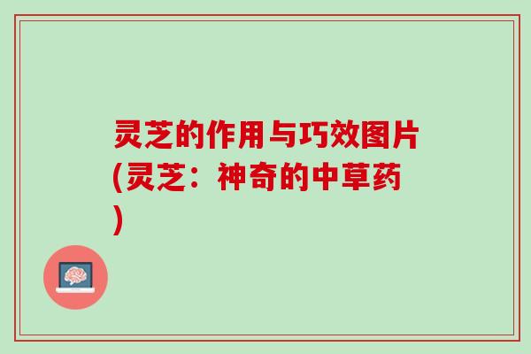 灵芝的作用与巧效图片(灵芝:神奇的中草药) 灵芝的作用与巧效图片(灵芝:神奇的中草药)