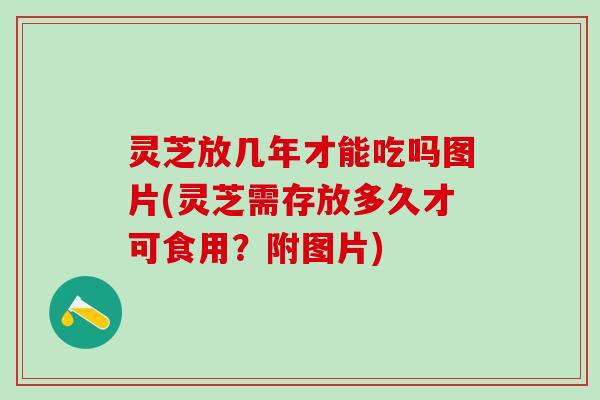 灵芝放几年才能吃吗图片(灵芝需存放多久才可食用？附图片)