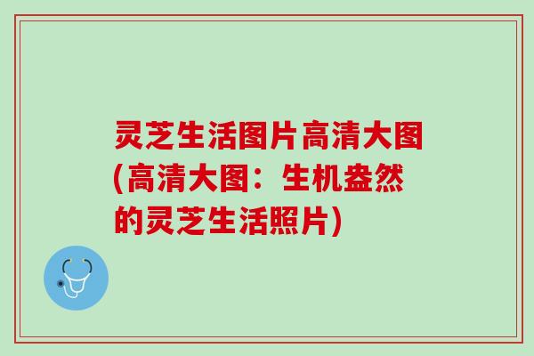 灵芝生活图片高清大图(高清大图:生机盎然的灵芝生活照片) 灵芝生活图片高清大图(高清大图:生机盎然的灵芝生活照片)