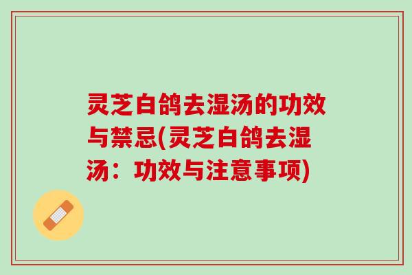灵芝白鸽去湿汤的功效与禁忌(灵芝白鸽去湿汤：功效与注意事项)