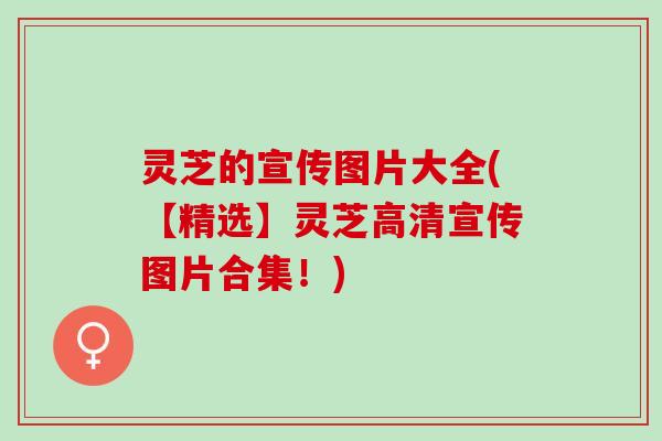 灵芝的宣传图片大全(【精选】灵芝高清宣传图片合集！)