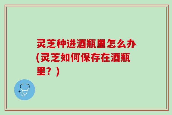 灵芝种进酒瓶里怎么办(灵芝如何保存在酒瓶里？)
