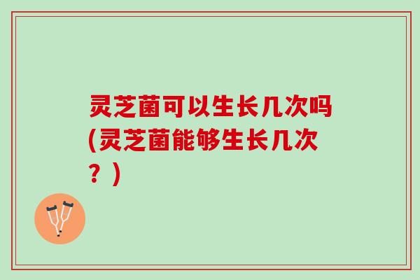 灵芝菌可以生长几次吗(灵芝菌能够生长几次?) 灵芝菌可以生长几次吗(灵芝菌能够生长几次?)