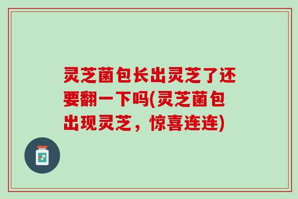 灵芝菌包长出灵芝了还要翻一下吗(灵芝菌包出现灵芝，惊喜连连)