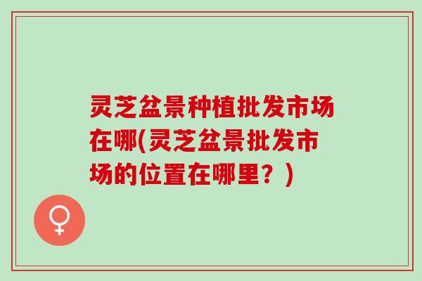 灵芝盆景种植批发市场在哪(灵芝盆景批发市场的位置在哪里?) 灵芝盆景种植批发市场在哪(灵芝盆景批发市场的位置在哪里?)