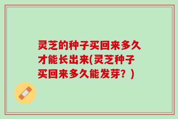 灵芝的种子买回来多久才能长出来(灵芝种子买回来多久能发芽？)