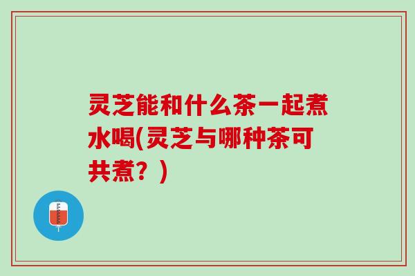 灵芝能和什么茶一起煮水喝(灵芝与哪种茶可共煮?) 灵芝能和什么茶一起煮水喝(灵芝与哪种茶可共煮?)