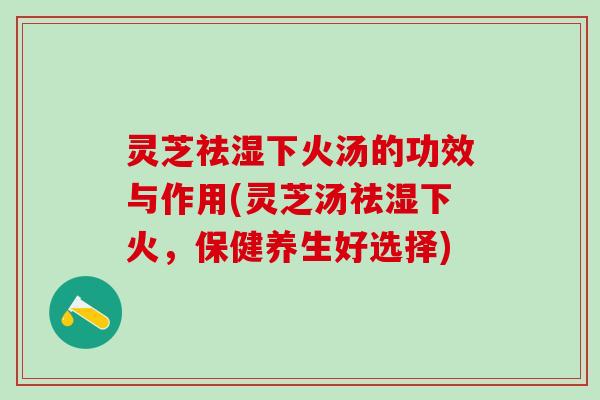 灵芝祛湿下火汤的功效与作用(灵芝汤祛湿下火，保健养生好选择)