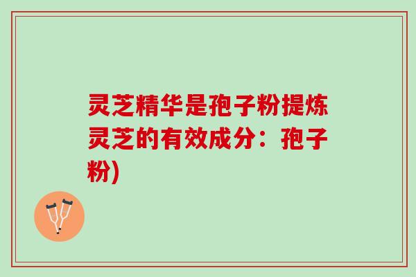 灵芝精华是孢子粉提炼灵芝的有效成分：孢子粉)