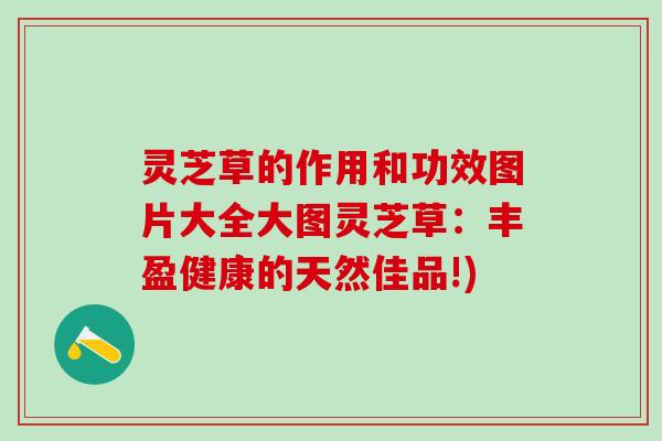 灵芝草的作用和功效图片大全大图灵芝草:丰盈健康的天然佳品!) 灵芝草的作用和功效图片大全大图灵芝草:丰盈健康的天然佳品!)