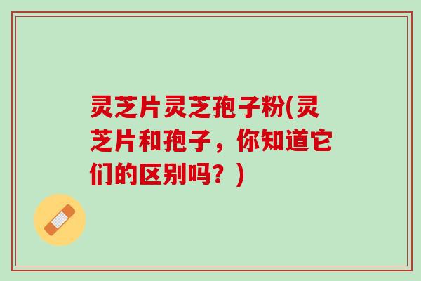 灵芝片灵芝孢子粉(灵芝片和孢子,你知道它们的区别吗?) 灵芝片灵芝孢子粉(灵芝片和孢子,你知道它们的区别吗?)
