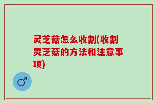 灵芝菇怎么收割(收割灵芝菇的方法和注意事项) 灵芝菇怎么收割(收割灵芝菇的方法和注意事项)