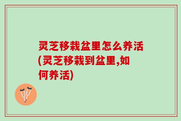 灵芝移栽盆里怎么养活(灵芝移栽到盆里,如何养活)