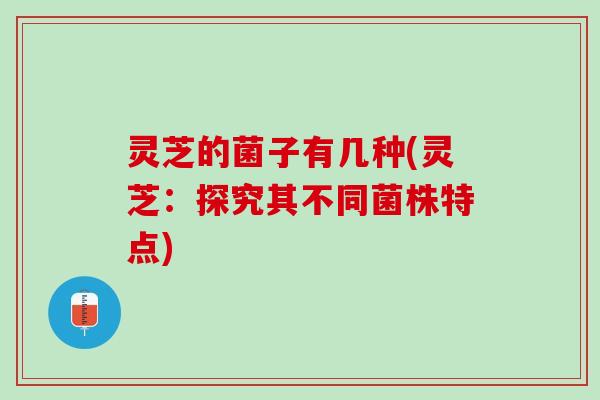 灵芝的菌子有几种(灵芝：探究其不同菌株特点)