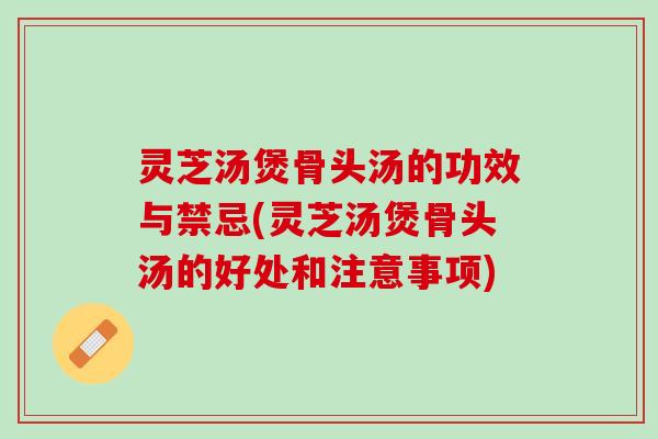 灵芝汤煲骨头汤的功效与禁忌(灵芝汤煲骨头汤的好处和注意事项)