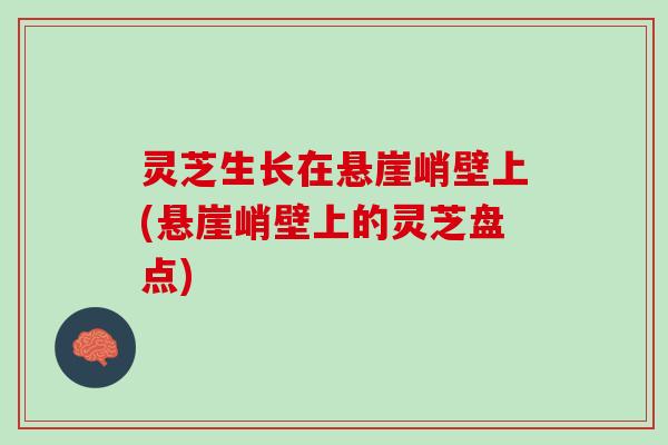 灵芝生长在悬崖峭壁上(悬崖峭壁上的灵芝盘点)