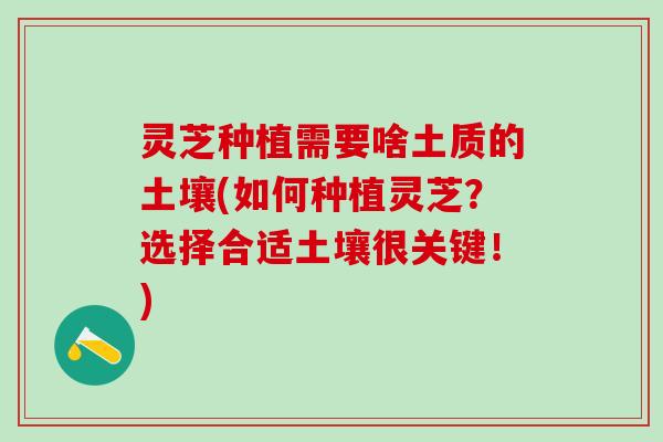 灵芝种植需要啥土质的土壤(如何种植灵芝？选择合适土壤很关键！)