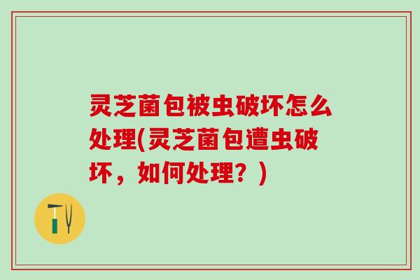 灵芝菌包被虫破坏怎么处理(灵芝菌包遭虫破坏，如何处理？)