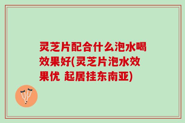 灵芝片配合什么泡水喝效果好(灵芝片泡水效果优 起居挂东南亚) 灵芝片配合什么泡水喝效果好(灵芝片泡水效果优 起居挂东南亚)