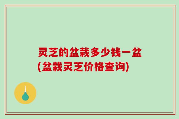 灵芝的盆栽多少钱一盆(盆栽灵芝价格查询) 灵芝的盆栽多少钱一盆(盆栽灵芝价格查询)
