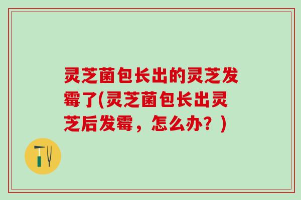 灵芝菌包长出的灵芝发霉了(灵芝菌包长出灵芝后发霉，怎么办？)