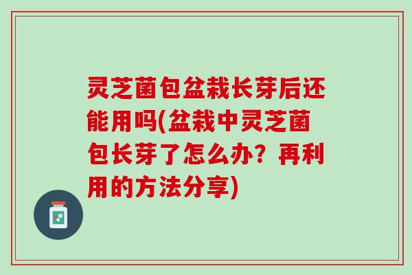 灵芝菌包盆栽长芽后还能用吗(盆栽中灵芝菌包长芽了怎么办?再利用的方法分享) 灵芝菌包盆栽长芽后还能用吗(盆栽中灵芝菌包长芽了怎么办?再利用的方法分享)