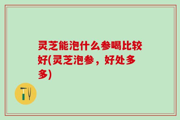 灵芝能泡什么参喝比较好(灵芝泡参，好处多多)