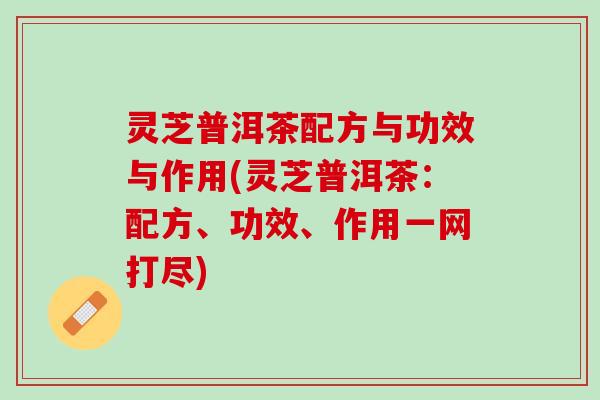 灵芝普洱茶配方与功效与作用(灵芝普洱茶：配方、功效、作用一网打尽)