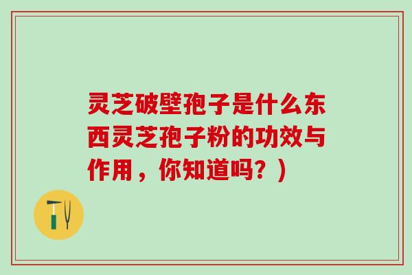 灵芝破壁孢子是什么东西灵芝孢子粉的功效与作用，你知道吗？)